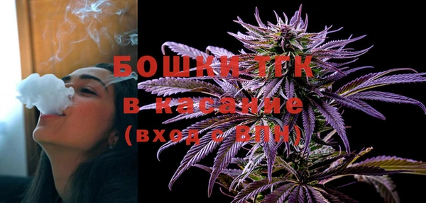 хмурый Тайга