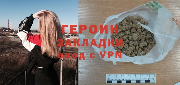 хмурый Тайга