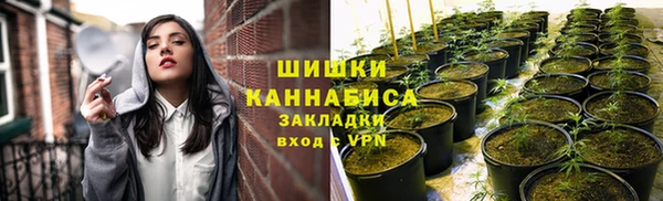 стафф Сясьстрой