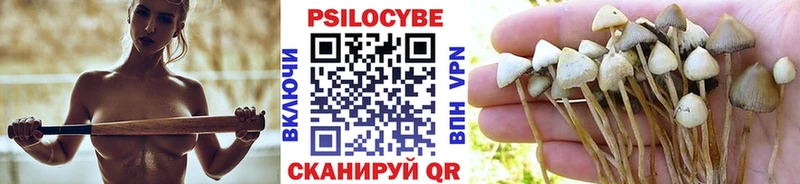 Псилоцибиновые грибы Magic Shrooms  ссылка на мегу онион  Кропоткин 